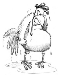 wet-hen2